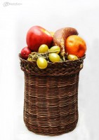 /album/p-r-o-d-u-c-t-o-s/a10246405-817518144944099-8075793842896327183-n-jpg/