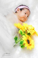 /album/fotogaleria%3a-fotograf%c3%aca/a10354677-466821113420536-3775356271372482647-n-jpg/